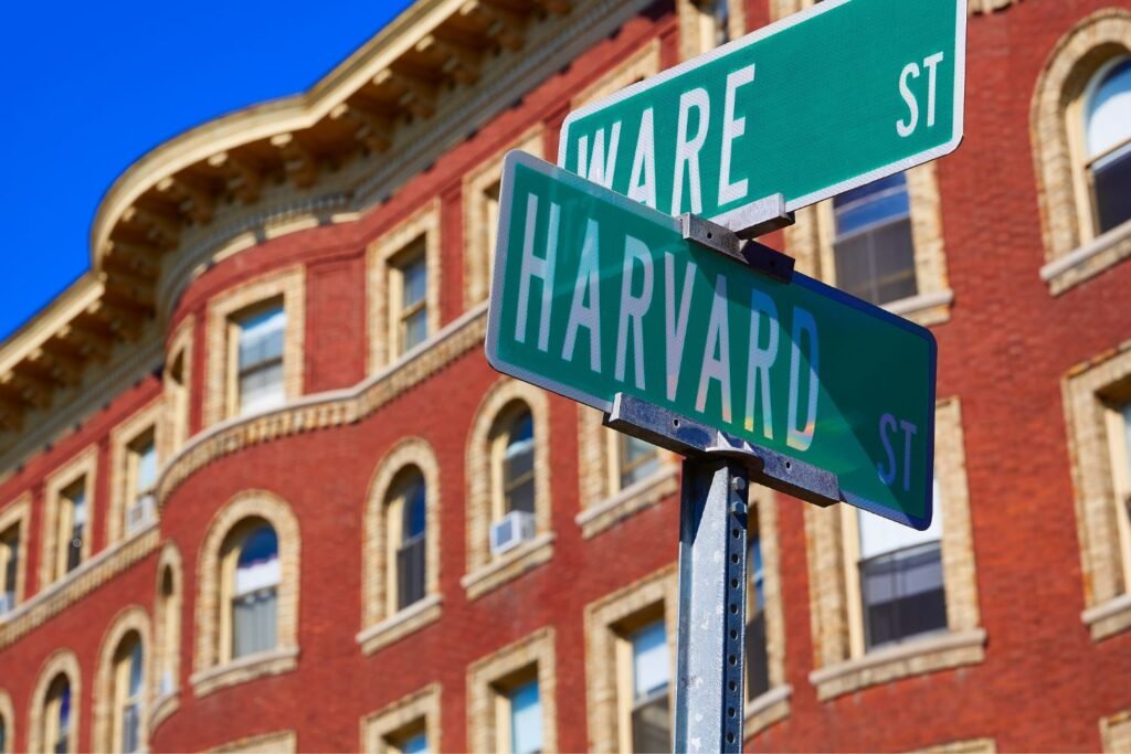 As habilidades dos líderes de sucesso de acordo a Harvard Business